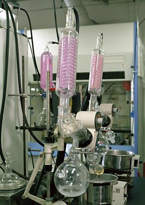 シーズニング対策完全ガイド2026：効果的な方法と最新ケア方法を徹底解説